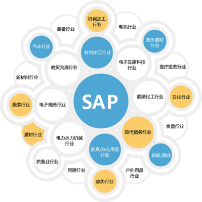 杭州SAP ERP軟件 企業(yè)數字化轉型的智慧選擇與專業(yè)咨詢指南